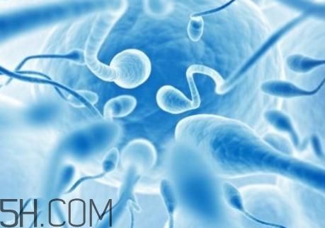 精子不液化是什么原因造成的？精子不液化吃什么藥好？