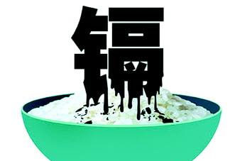 鎘污染會(huì)導(dǎo)致什么??？江西大米為何會(huì)鎘污染