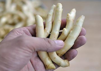 姜芽能吃嗎？姜芽怎么吃