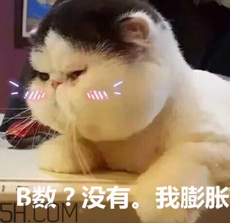 b數(shù)沒有我膨脹什么意思？b數(shù)沒有我膨脹表情包