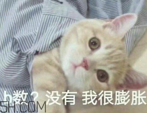 b數(shù)沒有我膨脹什么意思？b數(shù)沒有我膨脹表情包
