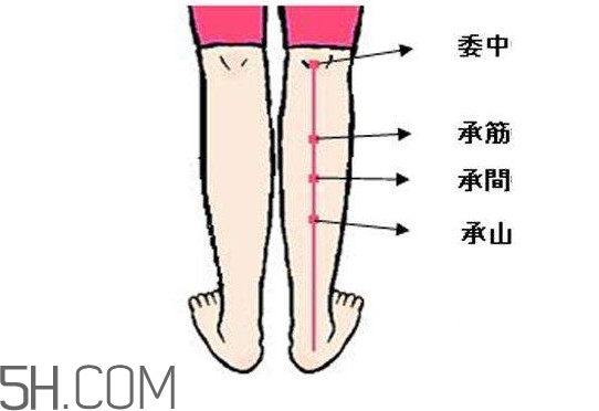 小腿抽筋可以跑步嗎？小腿抽筋可以拔火罐嗎
