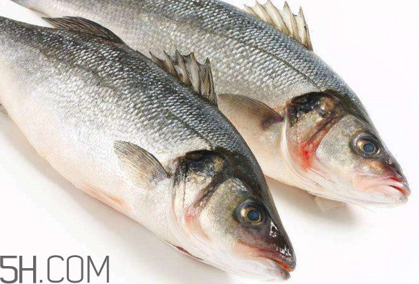 鱸魚(yú)有什么功效？鱸魚(yú)怎么養(yǎng)才不愛(ài)死