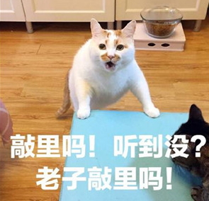 敲里lailai是什么意思？敲里lailai表情包無水印
