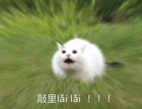 敲里lailai是什么意思？敲里lailai表情包無水印