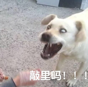 敲里lailai是什么意思？敲里lailai表情包無水印