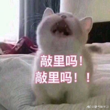 敲里lailai是什么意思？敲里lailai表情包無水印