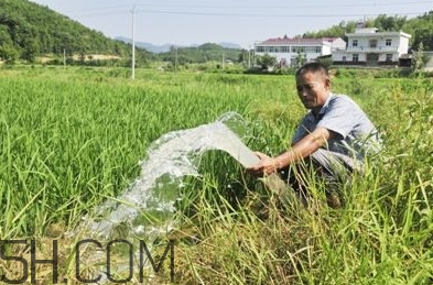 女生說抽水什么意思？女生發(fā)消息想抽水什么意思？
