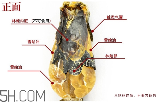 林蛙哪些部位不能吃？林蛙有什么營養(yǎng)