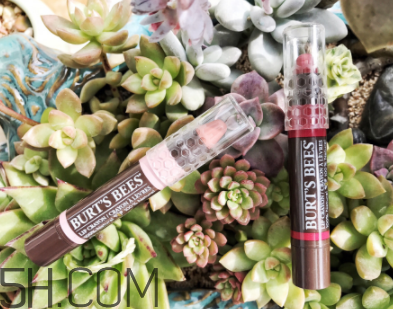 小蜜蜂唇膏筆多少錢？小蜜蜂唇膏筆很貴嗎？