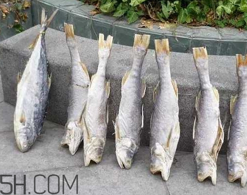 咸魚不能和什么一起吃？咸魚是什么意思