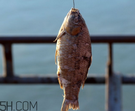 咸魚什么人不能吃？怎樣去除咸魚的咸