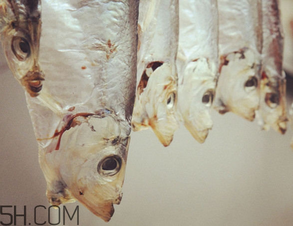 腌咸魚鹽和魚的比例是多少？咸魚一般腌多久才能曬