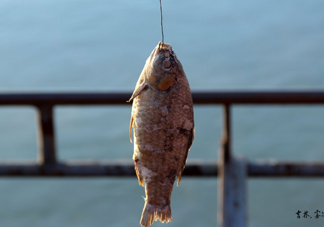 咸魚什么人不能吃？怎樣去除咸魚的咸