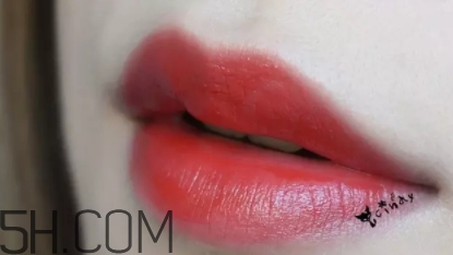 mac lady bug好看嗎？lady bug試色