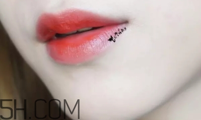 mac lady bug好看嗎？lady bug試色