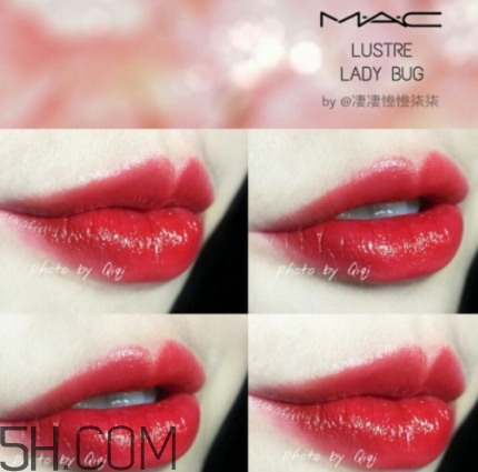 mac lady bug好看嗎？lady bug試色