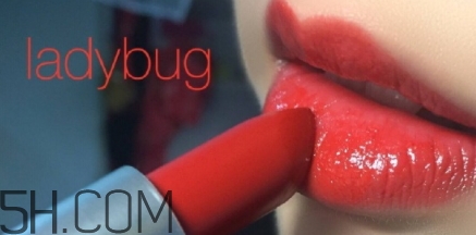mac lady bug掉色嗎？mac ladybug真假辨別