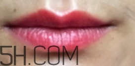 mac ladybug多少錢？mac lady bug專柜價(jià)格