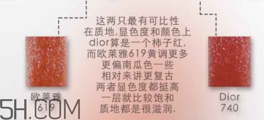 歐萊雅619和迪奧740像嗎？歐萊雅619秋葉和迪奧740對(duì)比