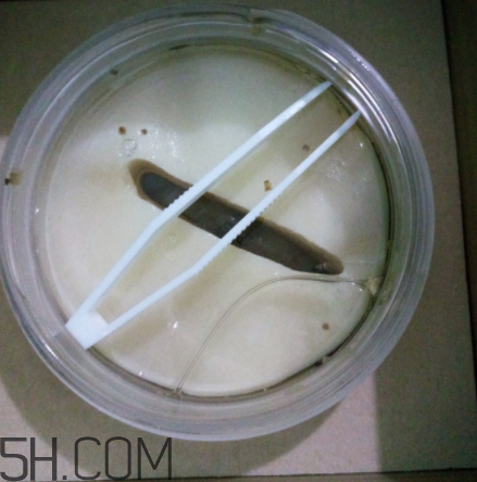 膜法世家金桂花眼膜怎么樣？膜法世家金桂花眼膜好用嗎？