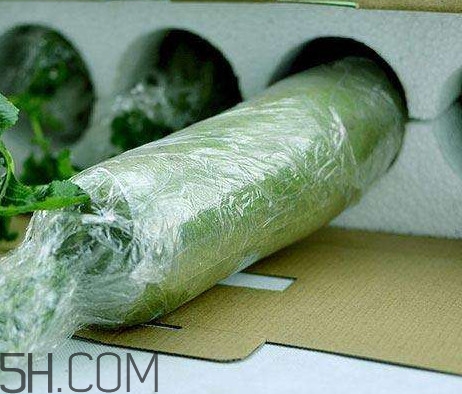 如何鑒別真假沙窩蘿卜？沙窩蘿卜怎么區(qū)分好壞