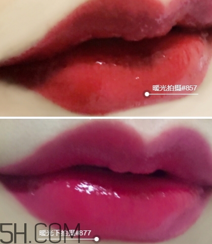 迪奧857和877哪個好看？迪奧857和877試色對比