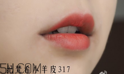 紀(jì)梵希304是西柚色嗎？紀(jì)梵希小羊皮304和317哪個(gè)好看？
