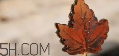 楓糖色口紅是什么顏色？楓糖色口紅試色