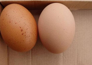 長(zhǎng)斑了的雞蛋能吃嗎？長(zhǎng)斑了的雞蛋吃了有什么危害？