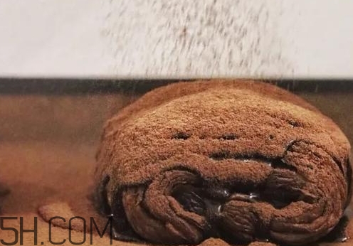 巧克力臟臟包怎么做？巧克力臟臟包的做法