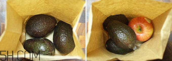 生牛油果可以放冰箱嗎？生牛油果怎么保存？