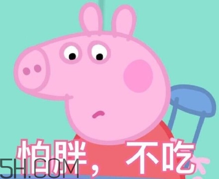 豬精女孩健康養(yǎng)生指南有哪些？豬精女孩健康養(yǎng)生指南是什么？