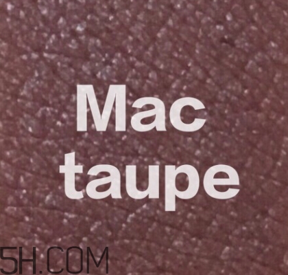 mac mocha和taupe哪個好看？mac mocha和taupe對比試色