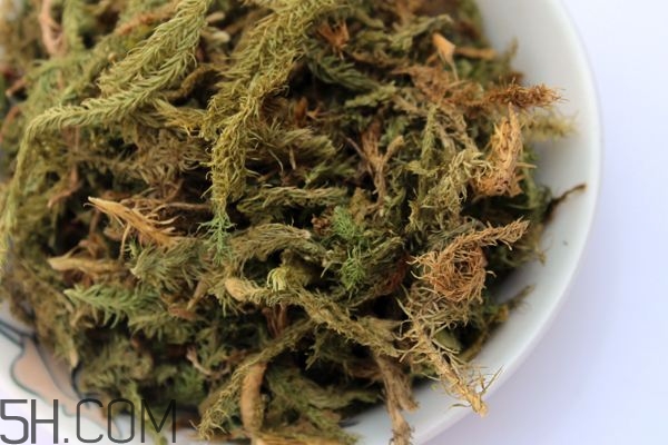 什么是伸筋草？伸筋草的功效與作用是什么？