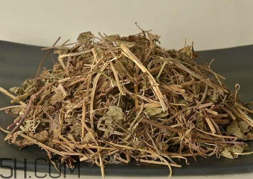 什么是透骨草？透骨草的功效與作用是什么？
