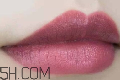 mac twig和brick o la一樣嗎？mac twig和brick o la試色對比