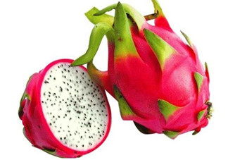 火龍果是熱性還是涼性？哪些人不適合吃火龍果？