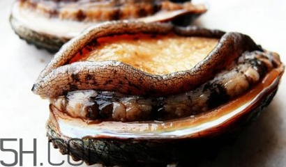 新鮮鮑魚怎么洗才干凈？鮑魚做法大全