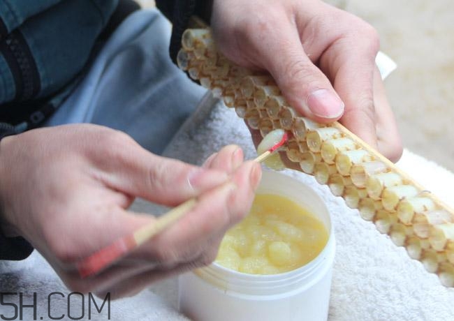 蜂王漿的營養(yǎng)成分有哪些？怎么辨別真假蜂王漿？