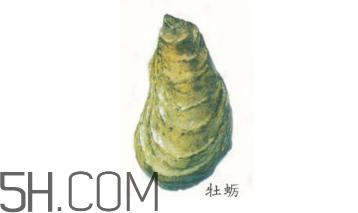 吃生蠔應(yīng)該注意哪些事項(xiàng)？生蠔與牡蠣的區(qū)別