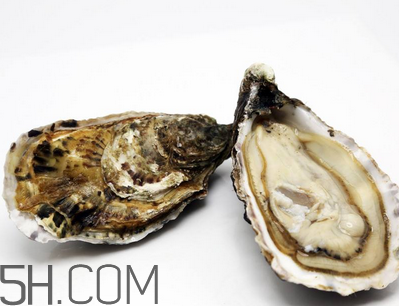 量吃生蠔有哪些好處？生蠔糖尿病人能吃嗎？