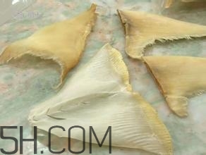 真假魚翅怎么辨別？魚翅的營(yíng)養(yǎng)價(jià)值