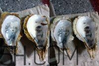 吃生蠔應(yīng)該注意哪些事項(xiàng)？生蠔與牡蠣的區(qū)別