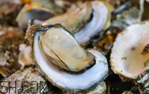 生蠔生吃好嗎？生蠔怎么吃最有營養(yǎng)？