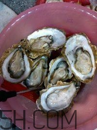 吃生蠔應(yīng)該注意哪些事項(xiàng)？生蠔與牡蠣的區(qū)別