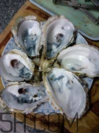 吃生蠔應(yīng)該注意哪些事項(xiàng)？生蠔與牡蠣的區(qū)別