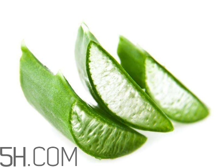 雅麗潔蘆薈膠有激素嗎？雅麗潔蘆薈膠測評