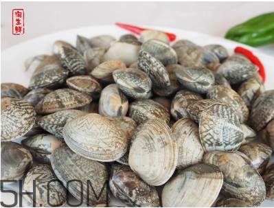 花甲可以冷凍嗎？養(yǎng)花甲鹽和水的比例是多少？