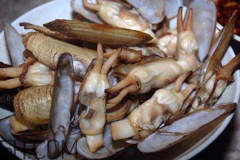 蟶子里面的黑色能吃嗎？蟶子為什么一撒鹽就出來？